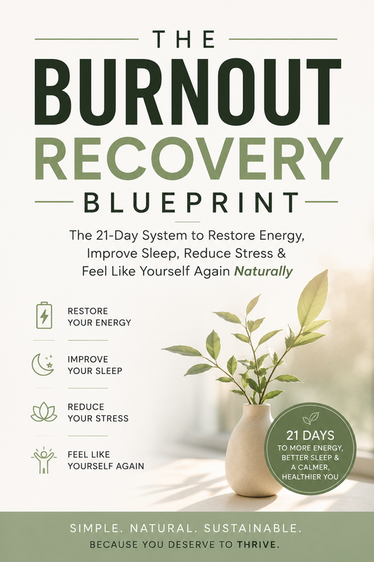The Burnout Recovery Blueprint